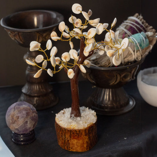 Lrg Gomati Chakra Circle Stone Trees - (60 stones)