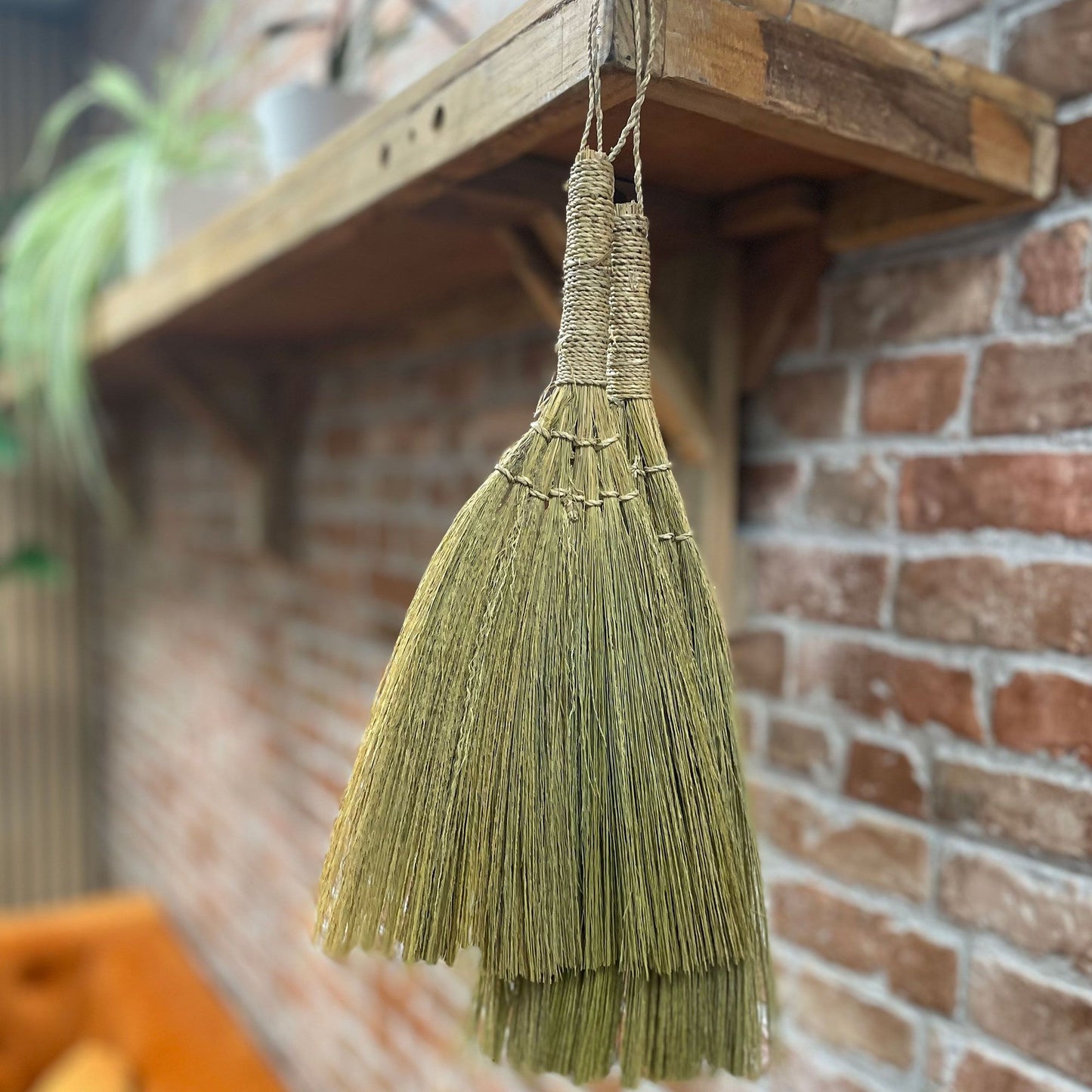 Set 4 - Pampas Fan Broom - Natural mixed sizes